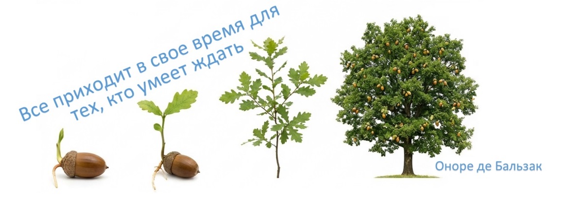 Продвижение молодых сайтов